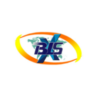 blsx logo