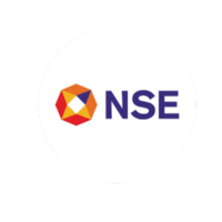 nse logo